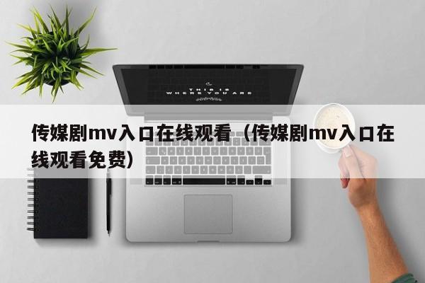 传媒剧mv入口在线观看（传媒剧mv入口在线观看免费）