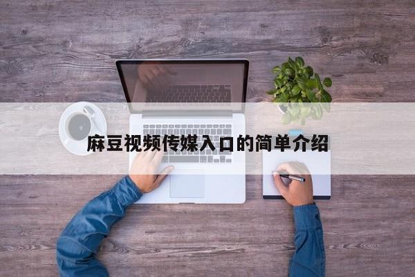 麻豆视频传媒入口的简单介绍