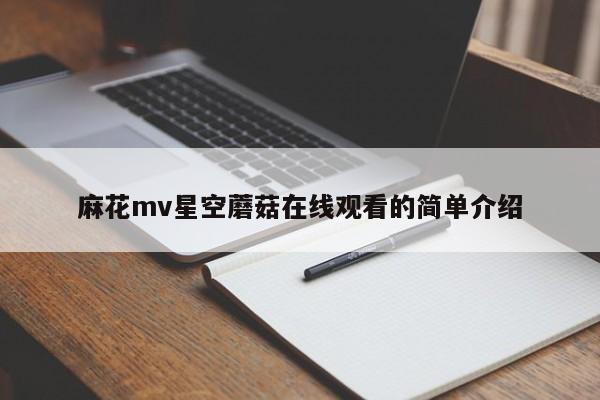 麻花mv星空蘑菇在线观看的简单介绍