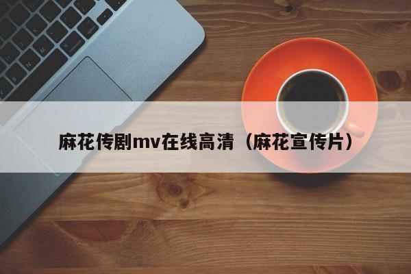 麻花传剧mv在线高清（麻花宣传片）